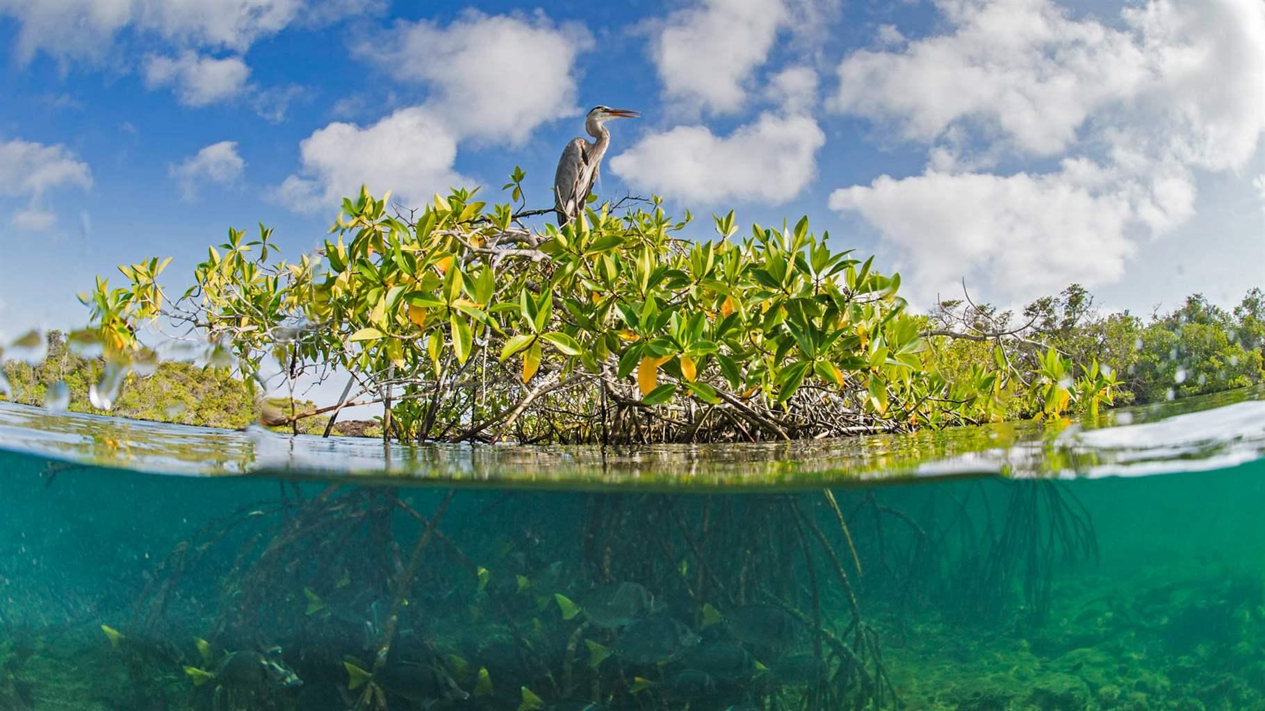 Choosing the Best Spots for Inshore Saltwater Fishing