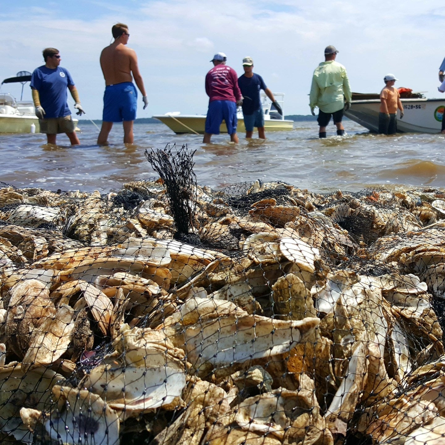 Ep. 3 - Better Habit, Bigger Fish