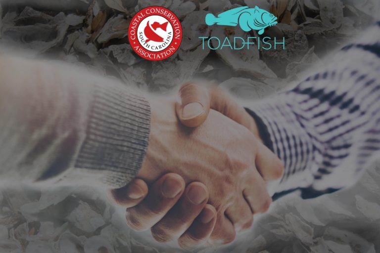 Oyster reef restoration and recycling a core value for Toadfish Outfitters