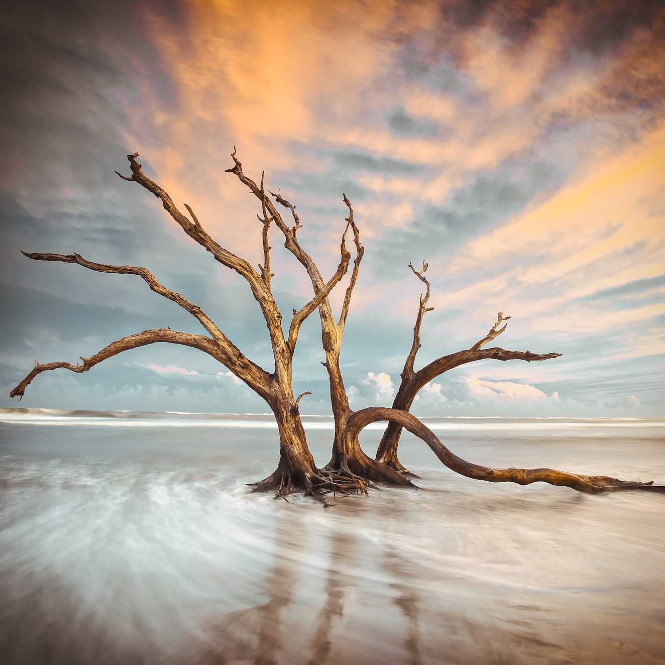 The Great Outdoors: A Natural Remedy for Your Mental Health