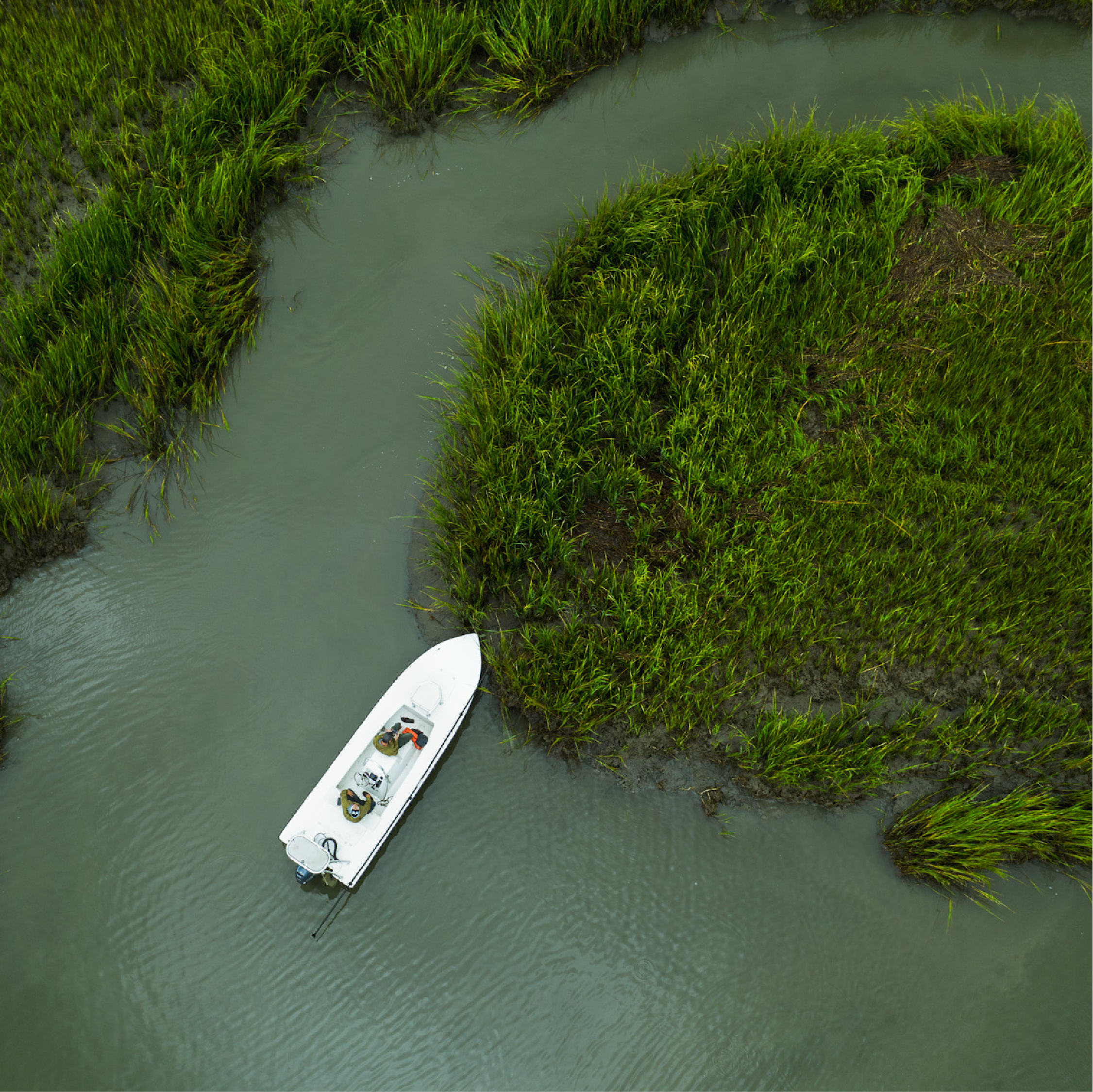 What is Inshore Fishing? Everything You Need To Know