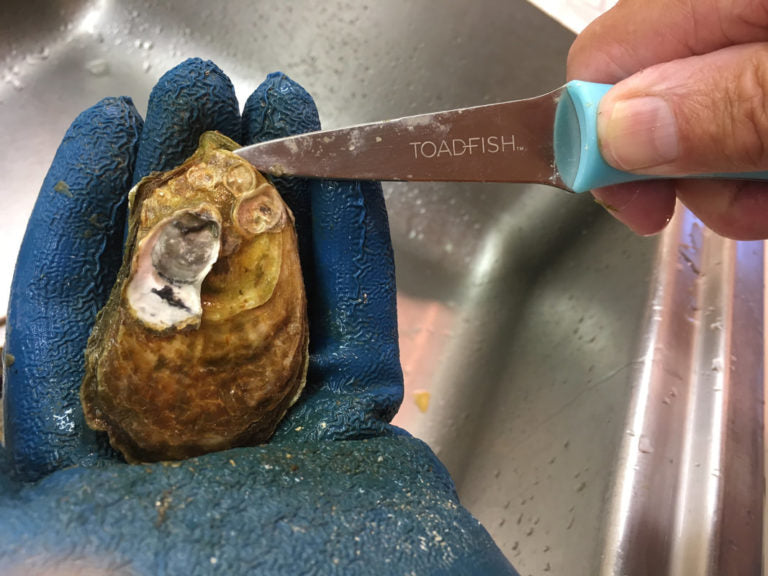 Necee Regis raves about Toadfish Outfitters Oyster Knife!