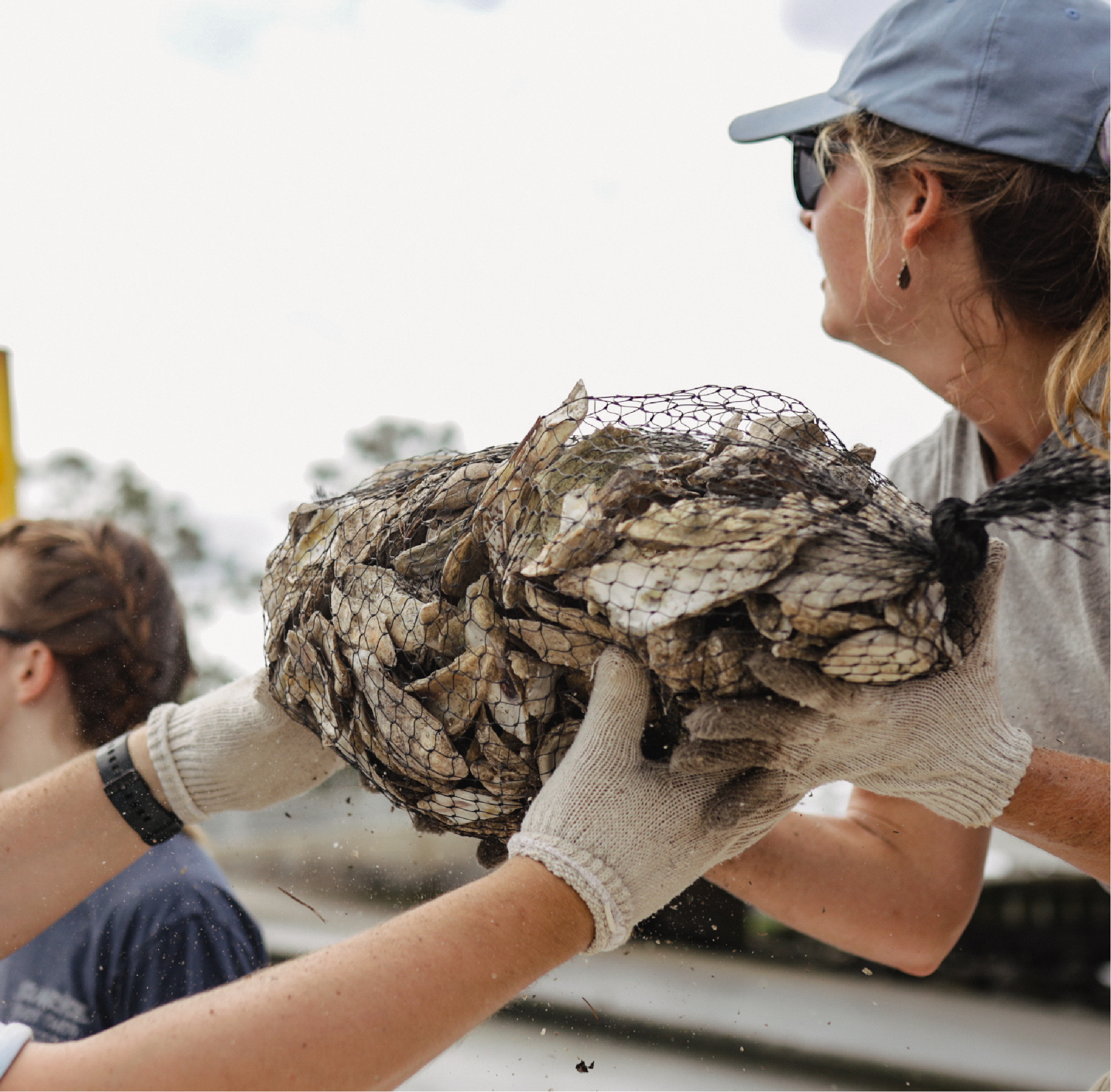 Toadfish donates $20K to fund oyster restoration projects