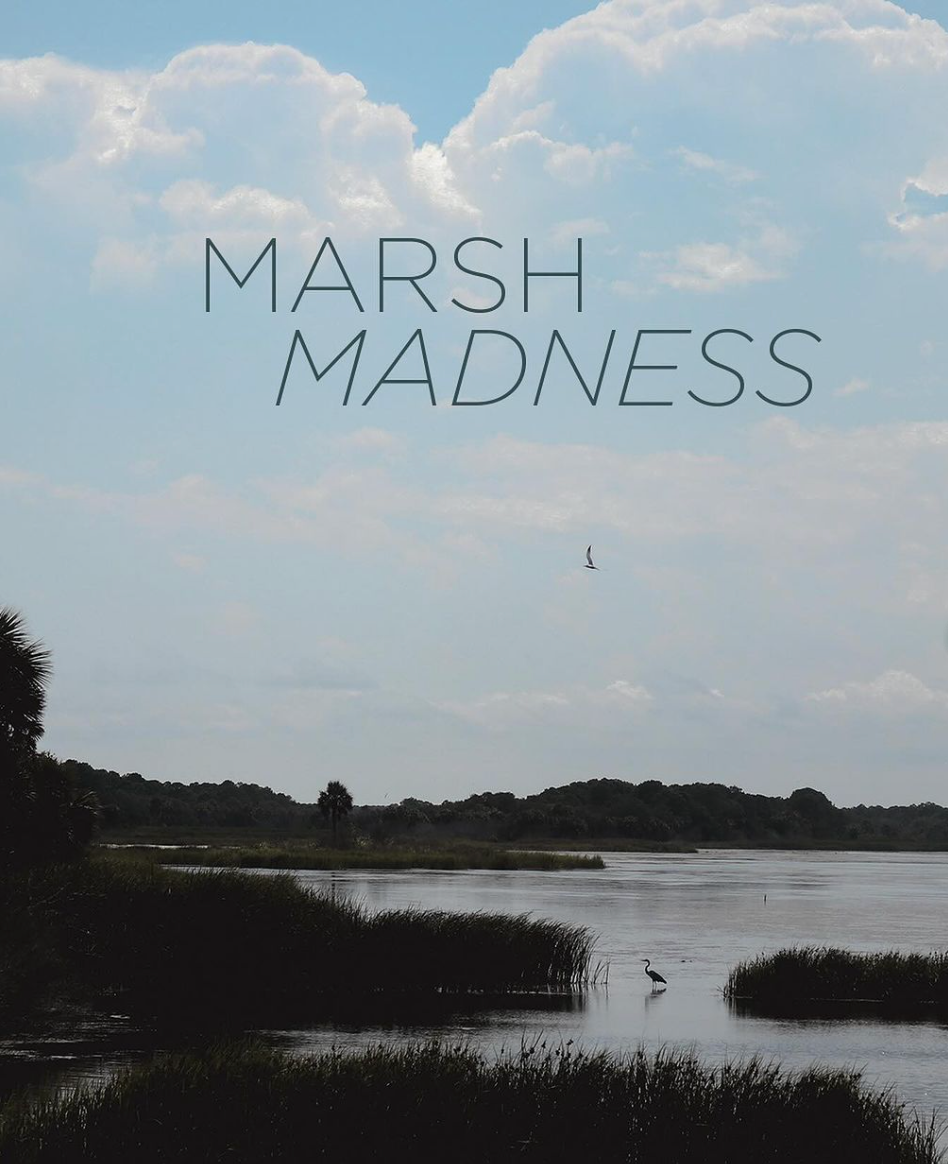 A calm marsh is depicted with a Great Blue Heron wading in it. Above the added text reads "Marsh Madness"