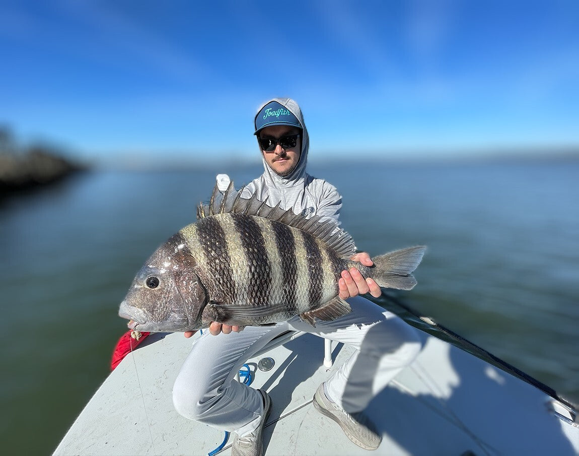 landing a massive sheepshead