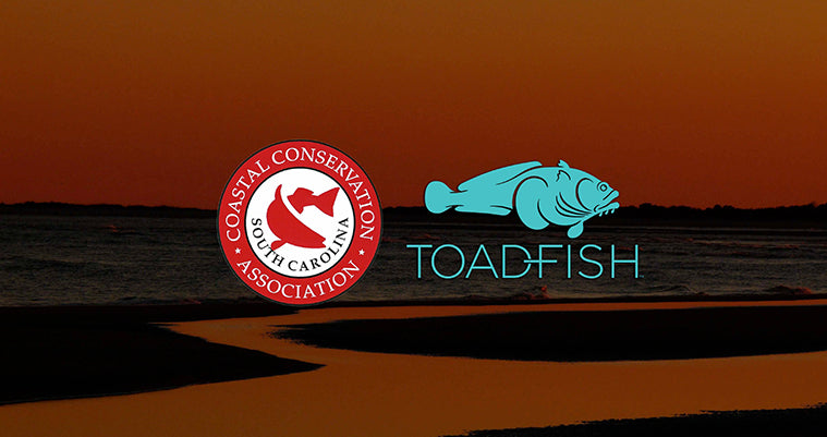 Ten Years of Trailers