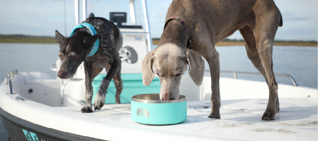 Dog Bowls