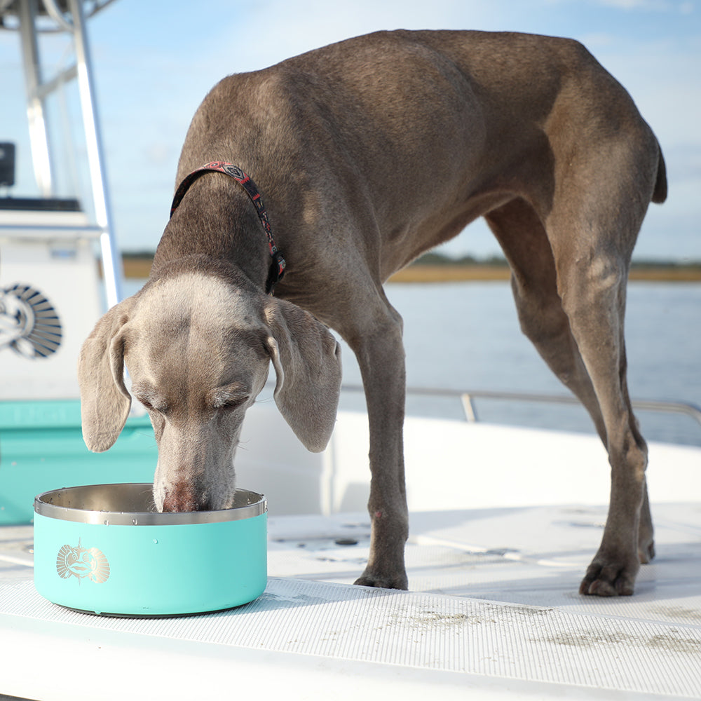 Non-Tipping Dog Bowl 2-pack - Toadfish - Smartgrip Tumblers