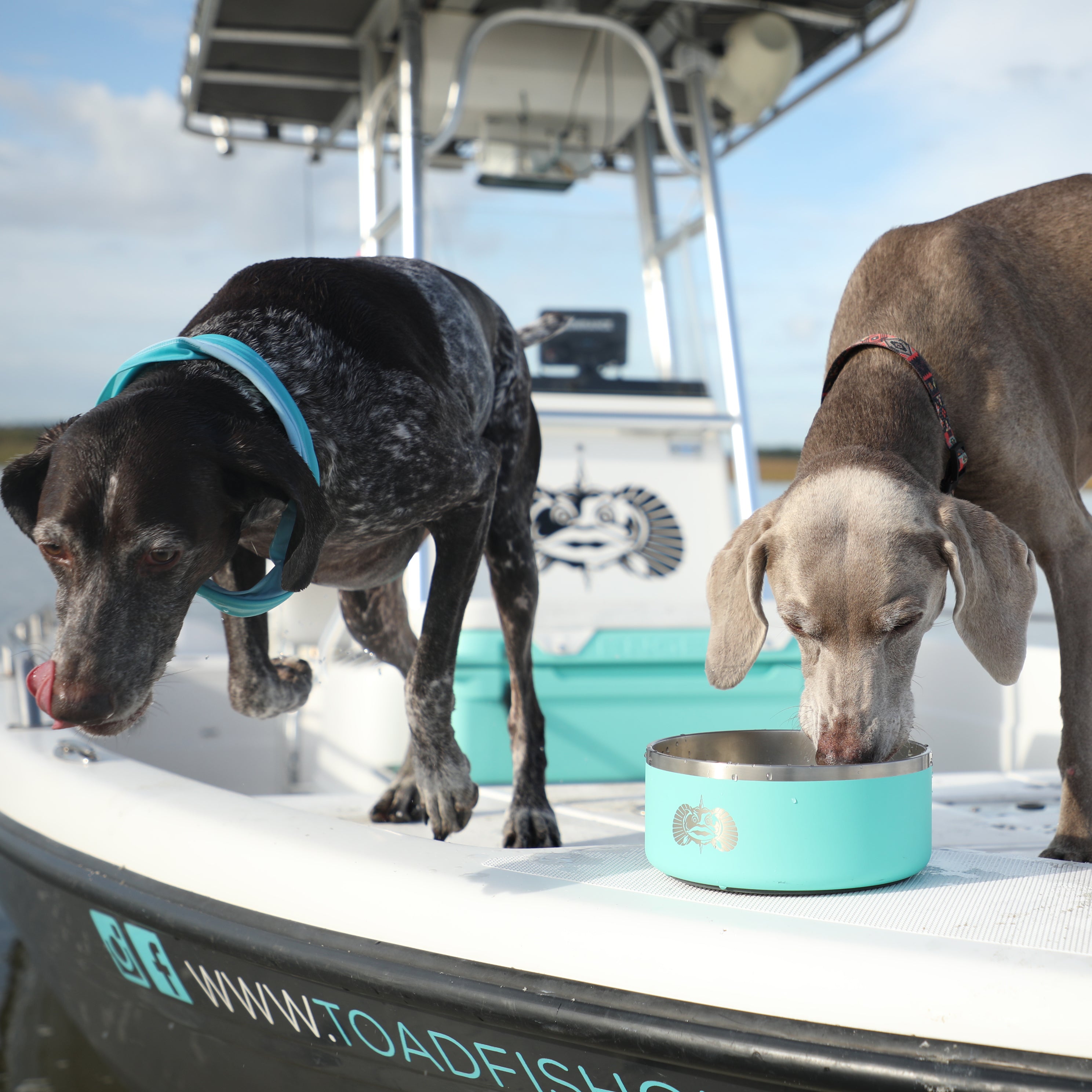 Non-Tipping Dog Bowl 2-pack - Toadfish - Smartgrip Tumblers