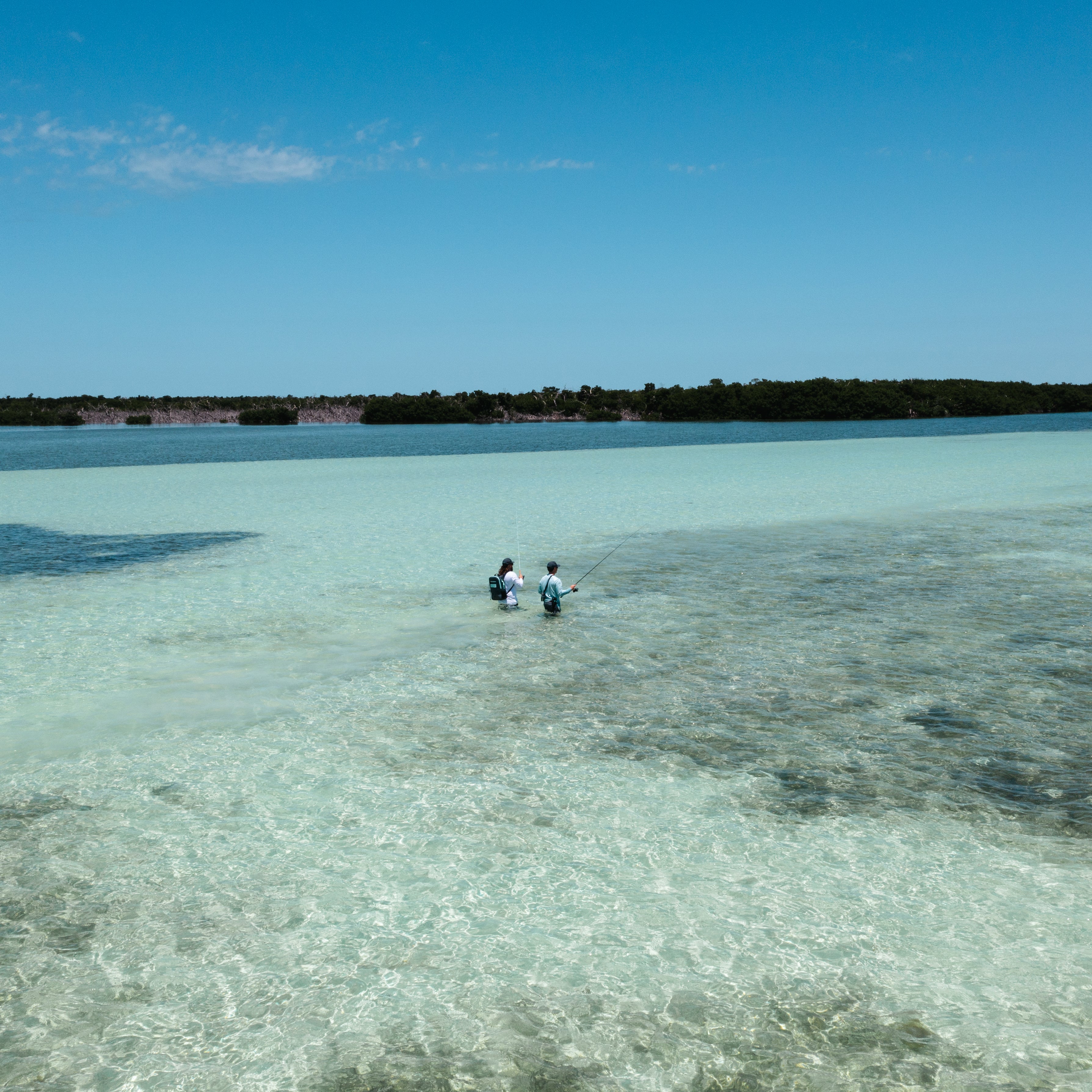 The Flats Bastard - Toadfish - Fishing Rods