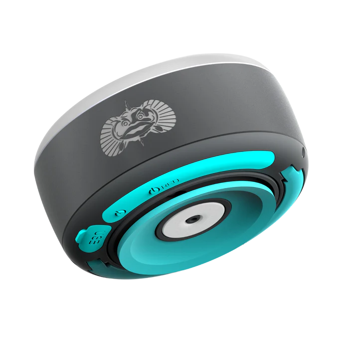 Camping Bundle - Toadfish -