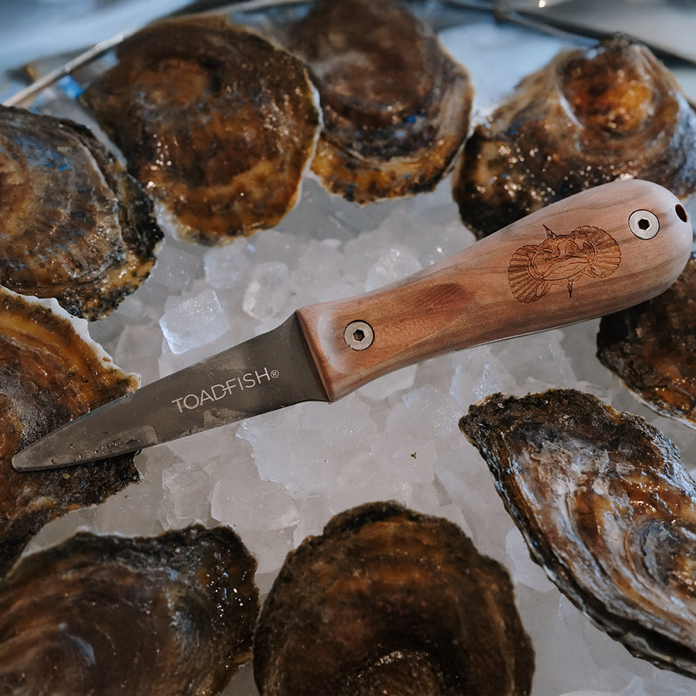 Olive Wood Oyster Knife - Toadfish - Oyster Knife
