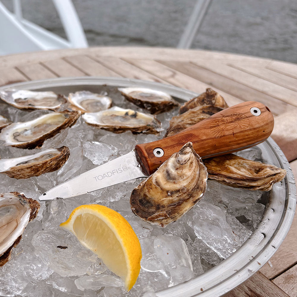 Olive Wood Oyster Knife - Toadfish - Oyster Knife
