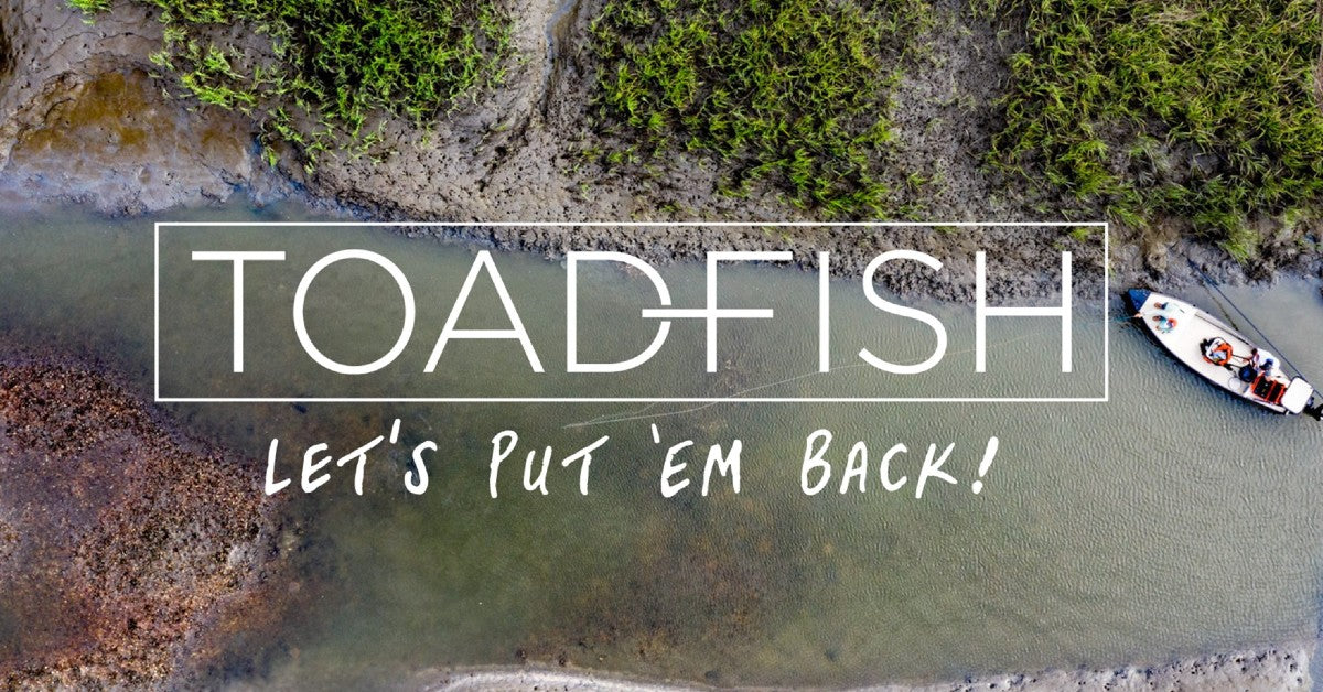 Toadfish  Eco-Friendly Coastal Products
