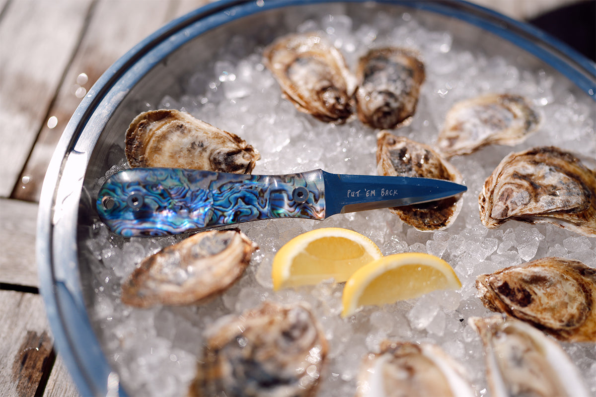 Abalone Oyster Knife