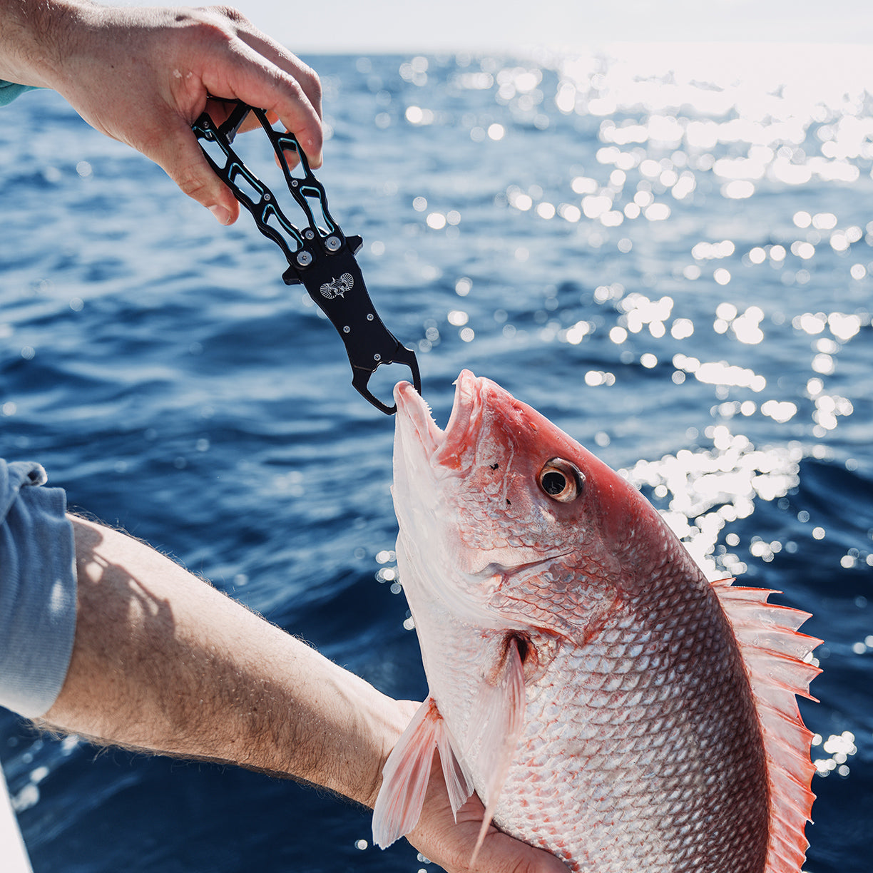 Stowaway Fish Grippers - Toadfish -