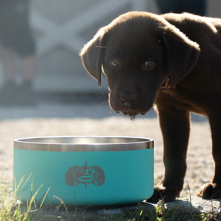 Non-Tipping Dog Bowl 2-pack - Toadfish - Smartgrip Tumblers