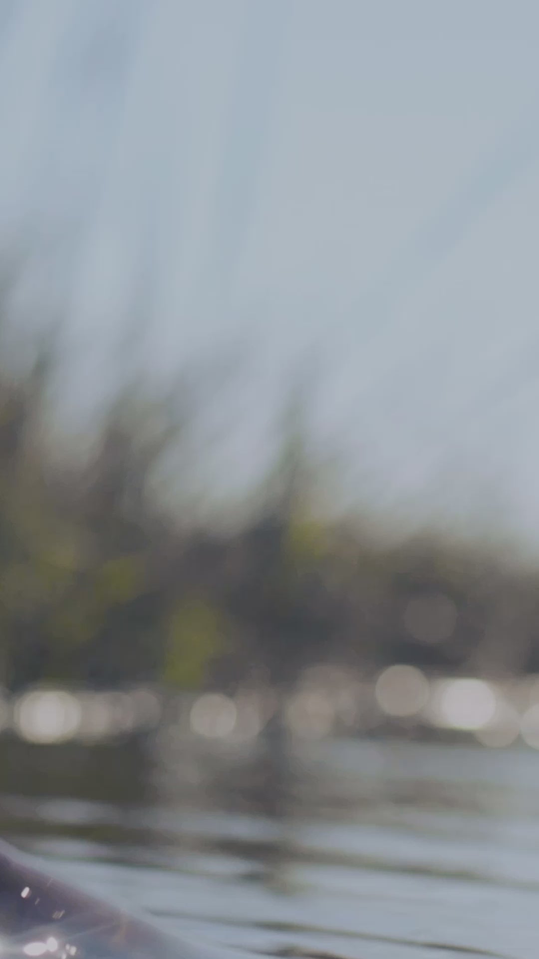 Load video: Put 'Em Back Fishing Tournament