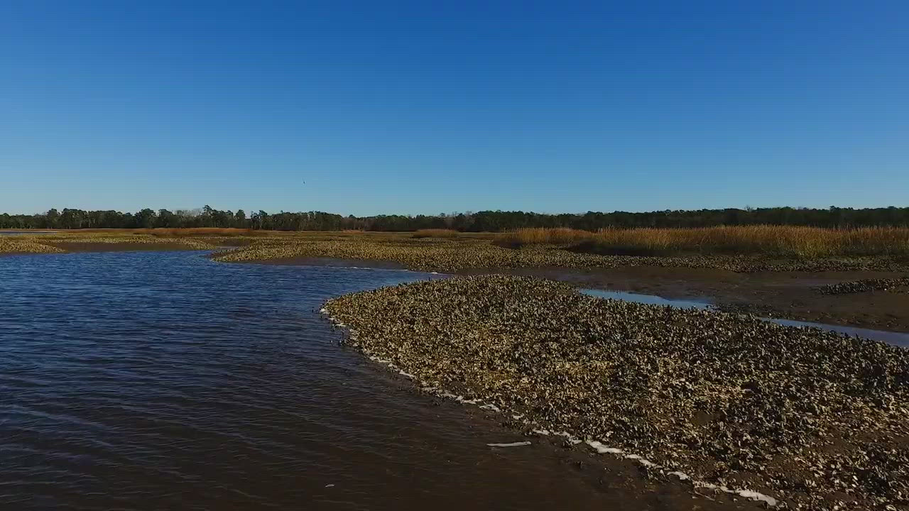 Load video: Put 'Em Back – Fish with Purpose