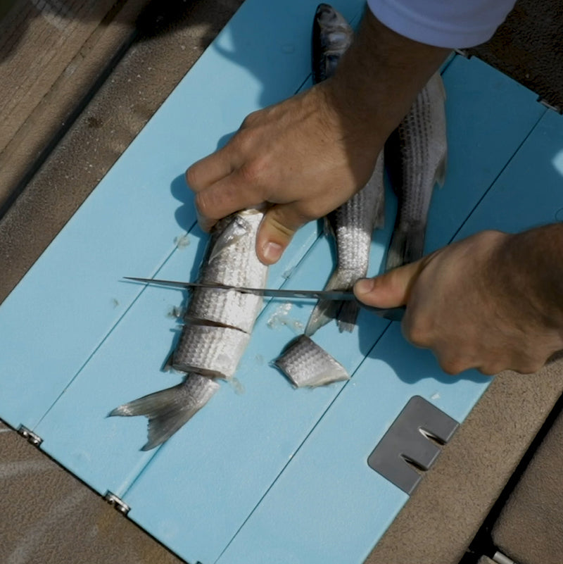 Stowaway Folding Cutting Boards-L | XL Cutting Boards Toadfish