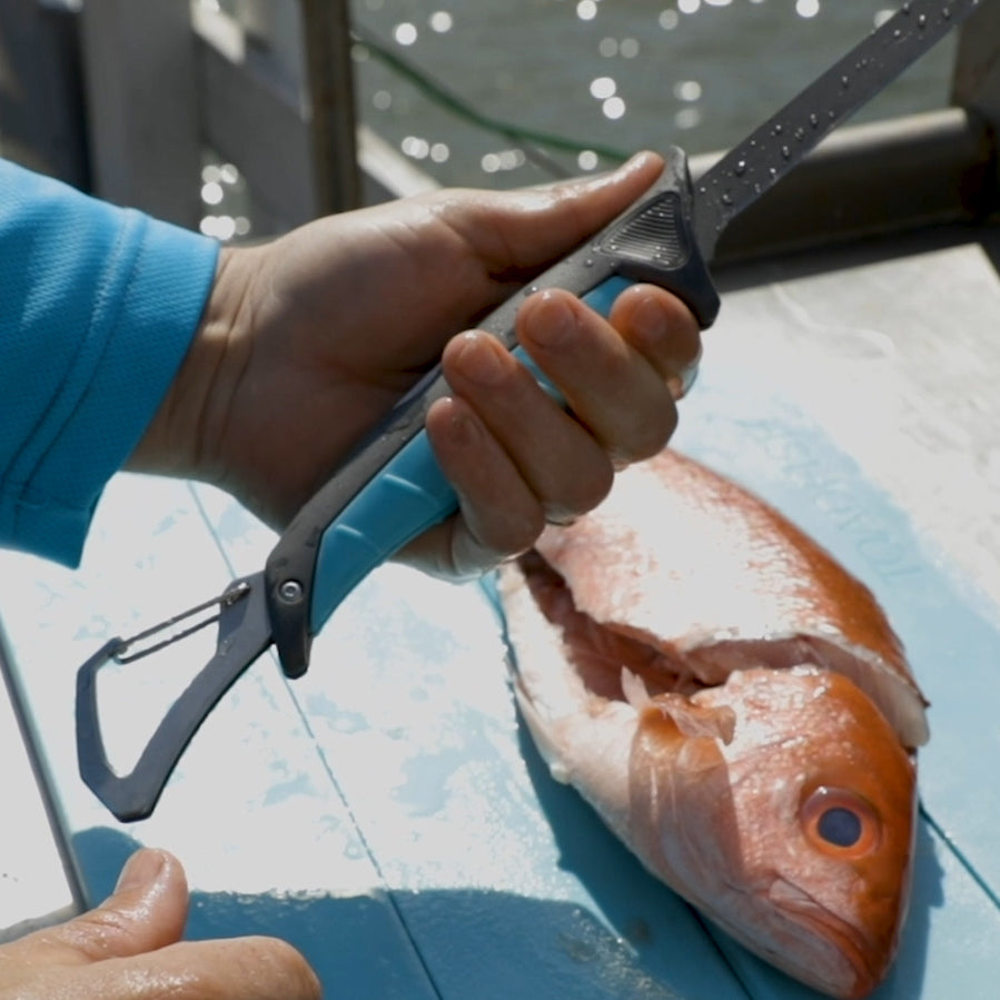 Stowaway Fillet Systems- L | XL Fishing Tackle Toadfish
