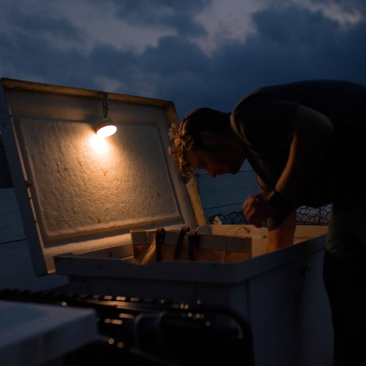 Stowaway LED Lantern - Toadfish - Fishing Accessories