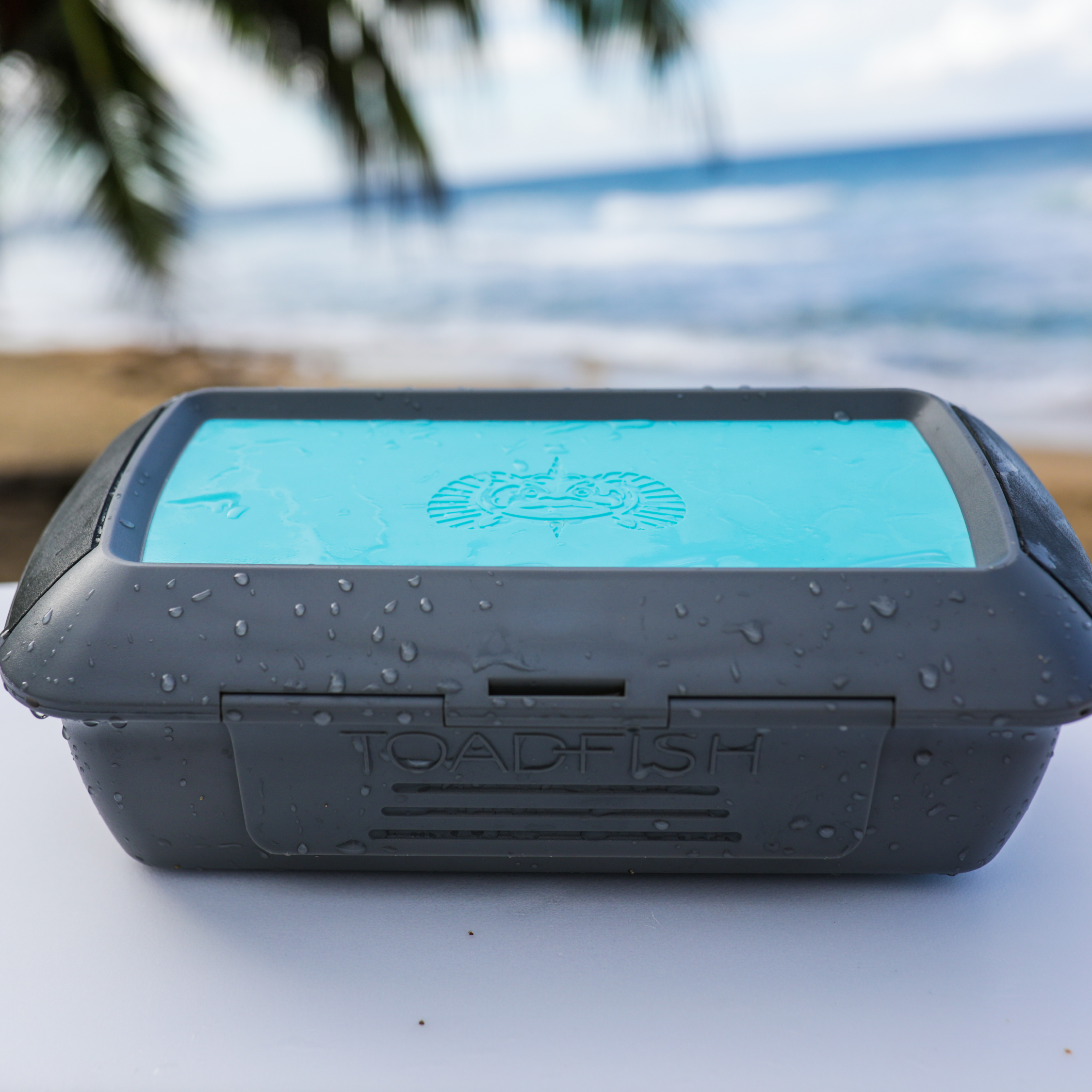 Stowaway Dry Box - Toadfish -