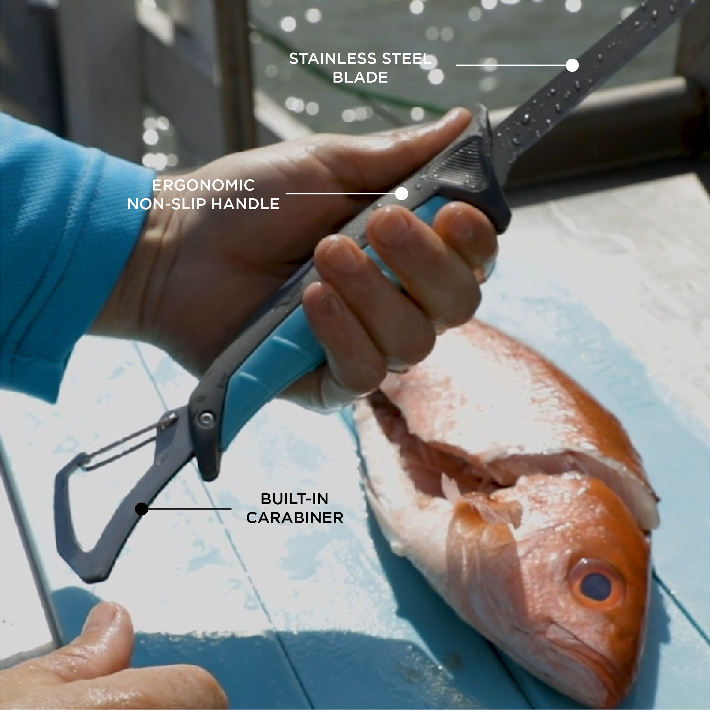 Stowaway Folding Fillet Knives Fishing Tackle Toadfish