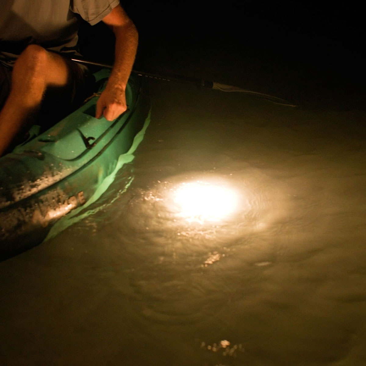 Stowaway LED Lantern - Toadfish - Fishing Accessories
