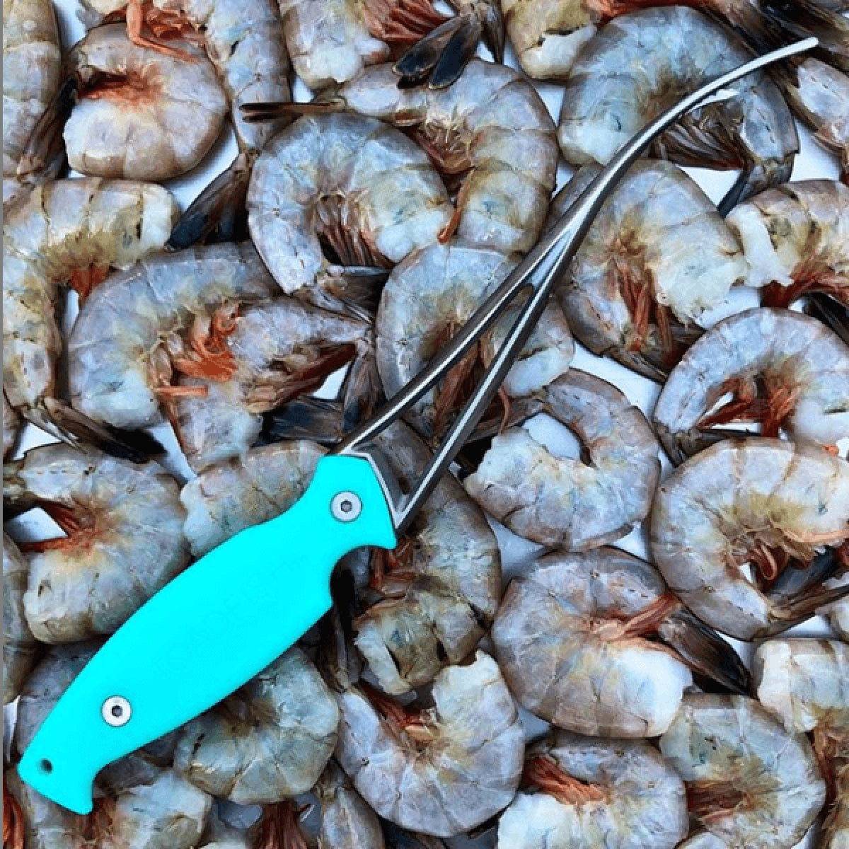 Shrimp Cleaner Kitchen Tools & Utensils Toadfish