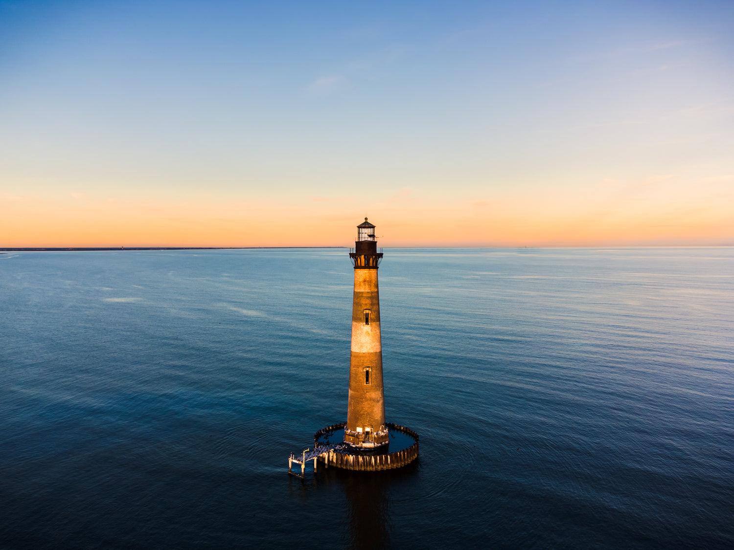 4 Shocking Facts About South Carolina Toadfish
