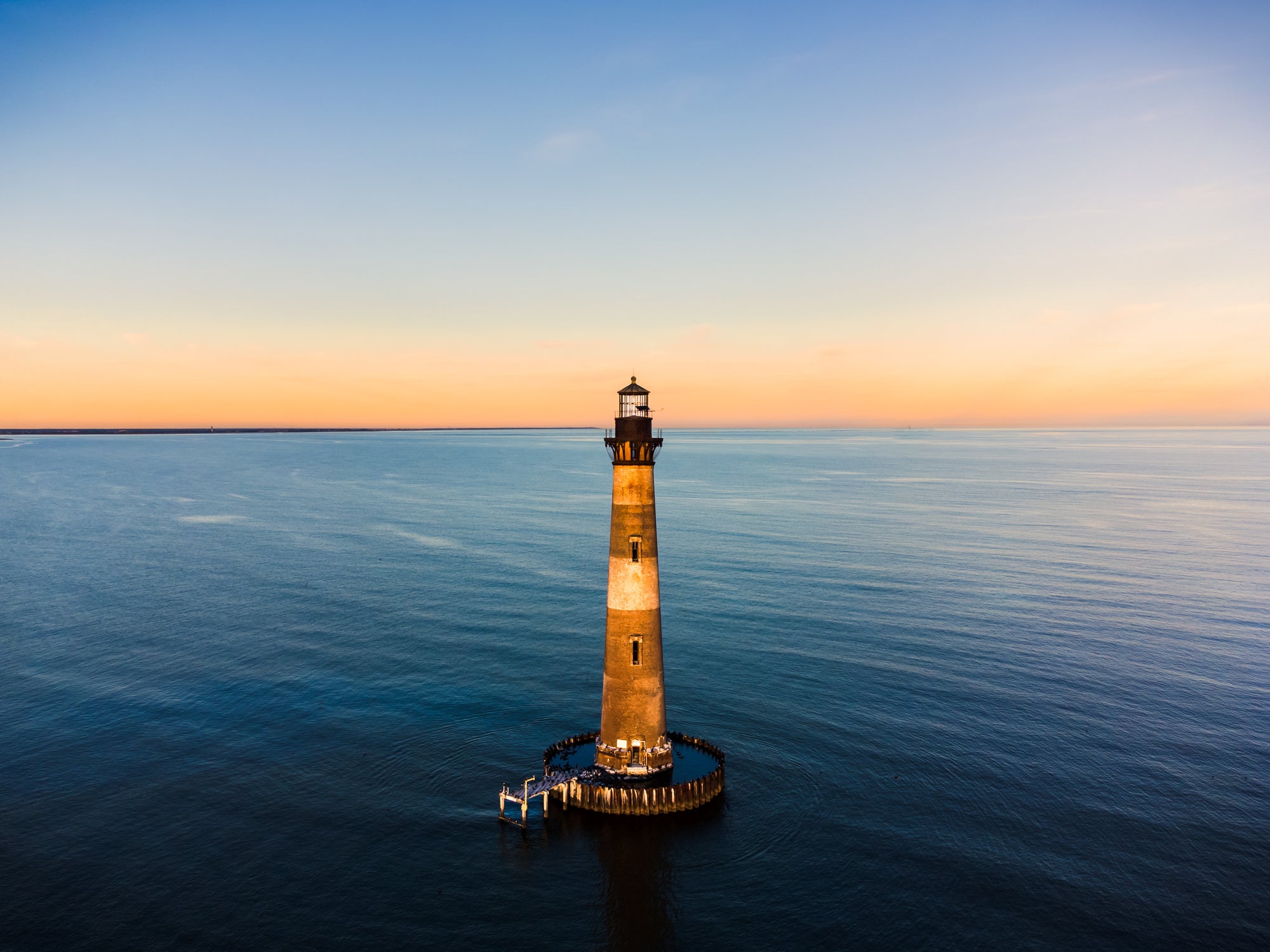 4 Shocking Facts About South Carolina Toadfish