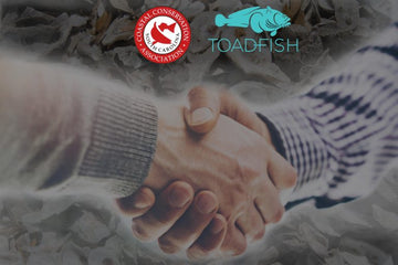 Oyster reef restoration and recycling a core value for Toadfish Outfitters