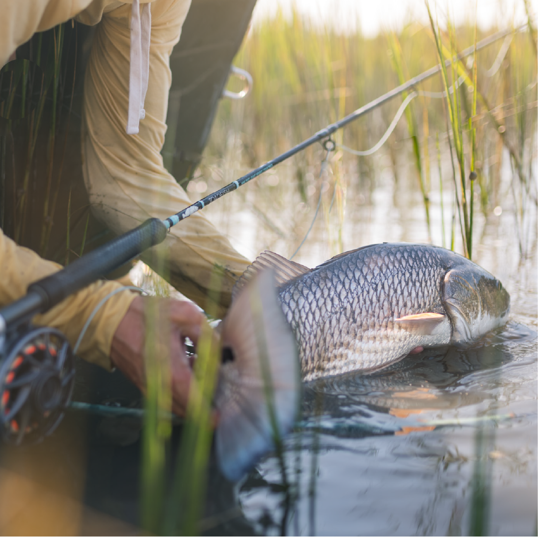 Toad Fish Fly Rpd 5 Essential Gear For Summer Fishing – Toadfish