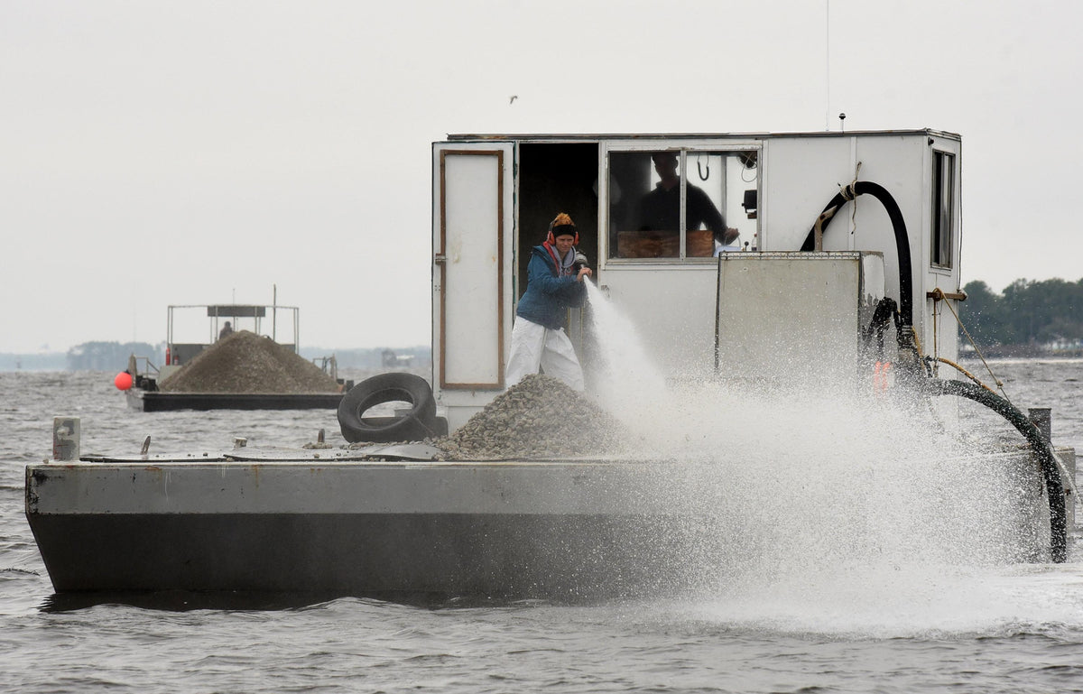 barge brings oyster recovery partnership shells out to be planted into a reef