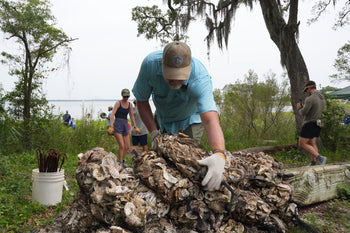 barge brings oyster recovery partnership shells out to be planted into a reef