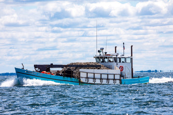 barge brings oyster recovery partnership shells out to be planted into a reef