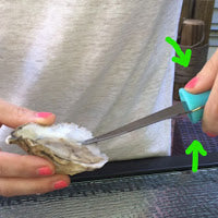 GoShuckanOyster.com review of the Toadfish Oyster Knife