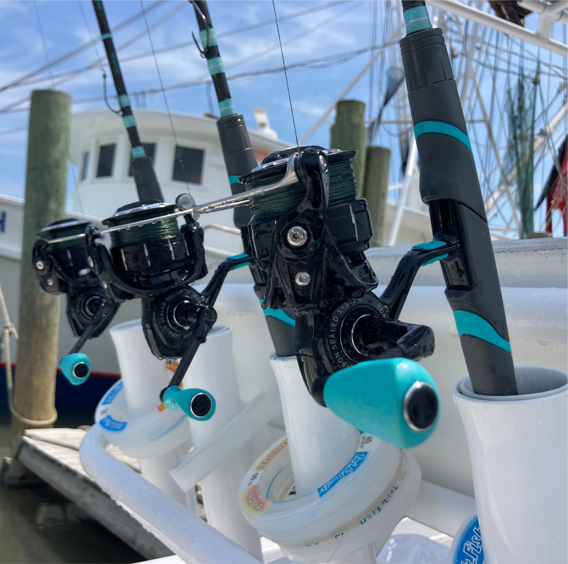 How To Choose The Right Saltwater Fishing Reel - An Easy Guide  Toadfish