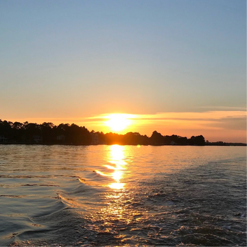 Toadfish Donates $10K For 3D Printed Artificial Reef on Pamlico River