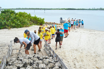 Florida Oceanographic team builds oyster reef