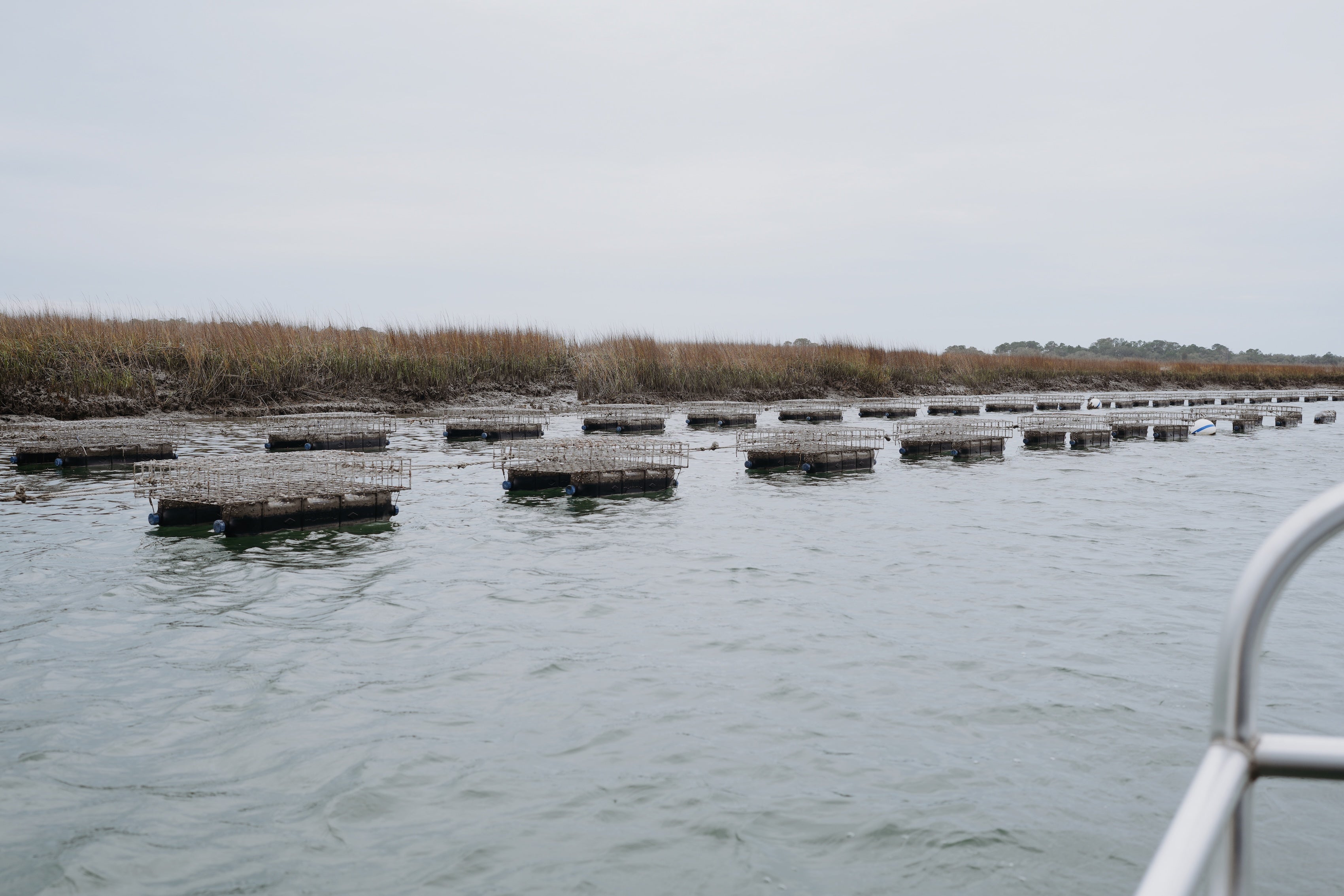 a bunch of oyster cages are sitting along the shoreline, you can tell there are some tasty oysters in there