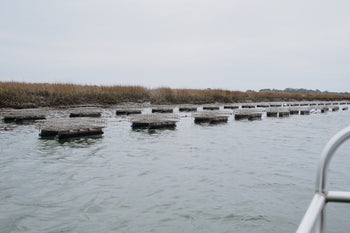 a bunch of oyster cages are sitting along the shoreline, you can tell there are some tasty oysters in there