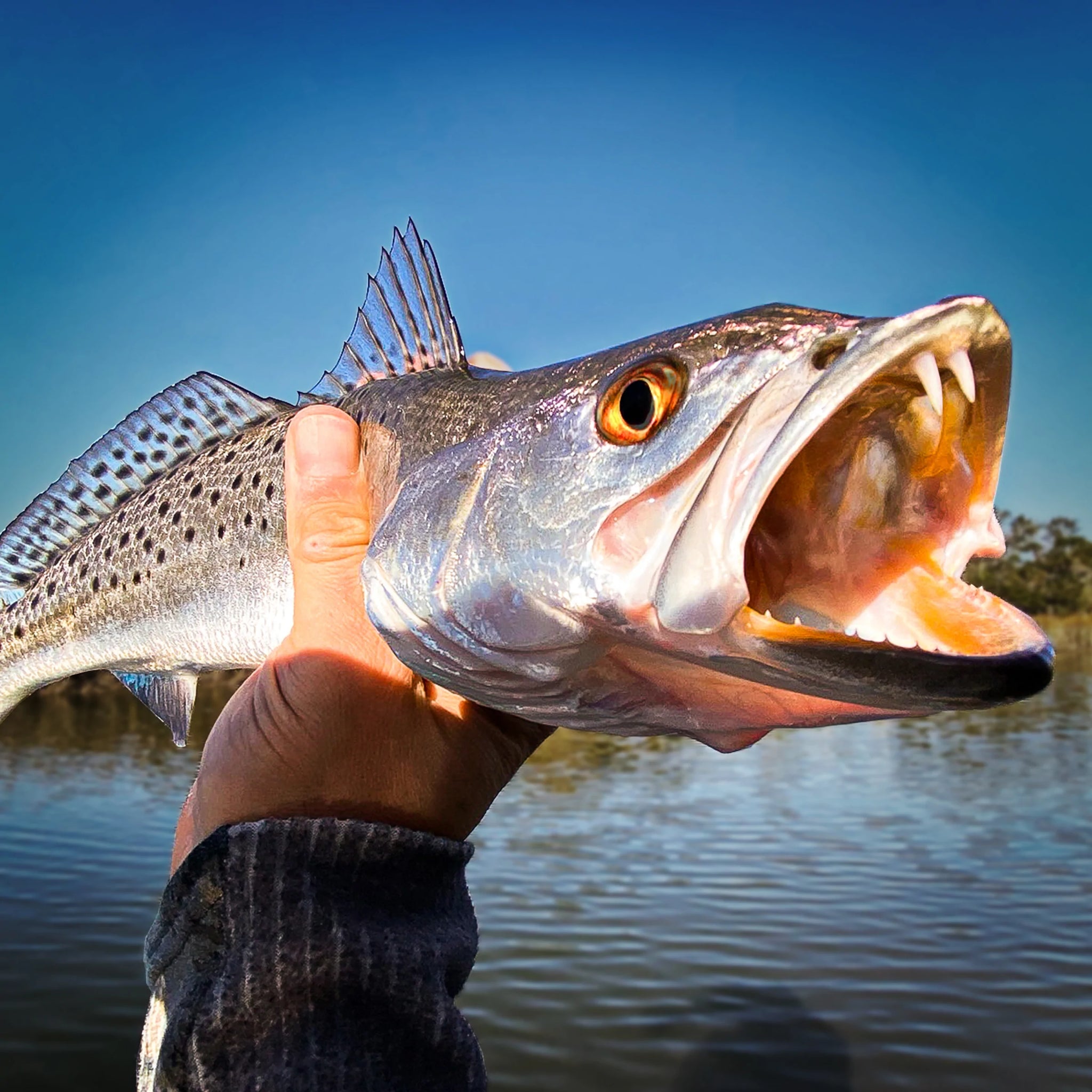 4 Tips For Catching Trout & Redfish This Fall Fishing Season