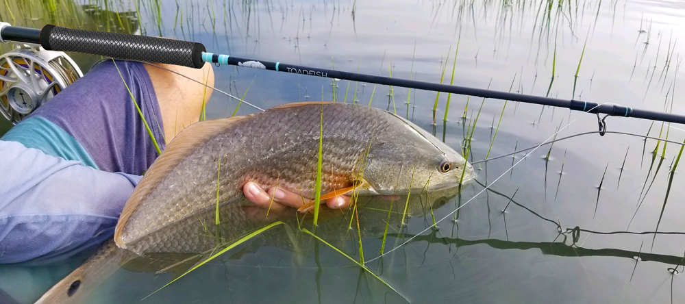 Toad Fish Fly Rpd Fly Rods – Toadfish
