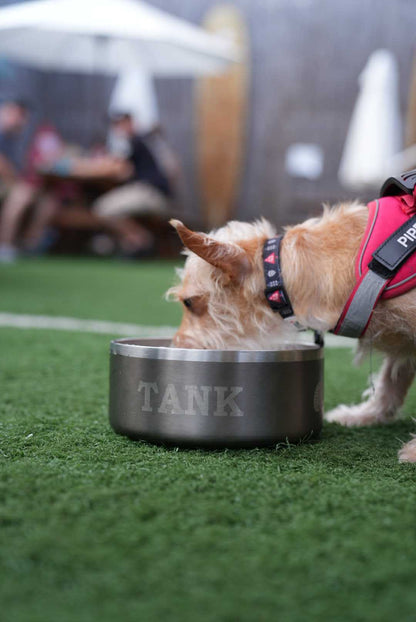Custom Engraved Dog Bowl