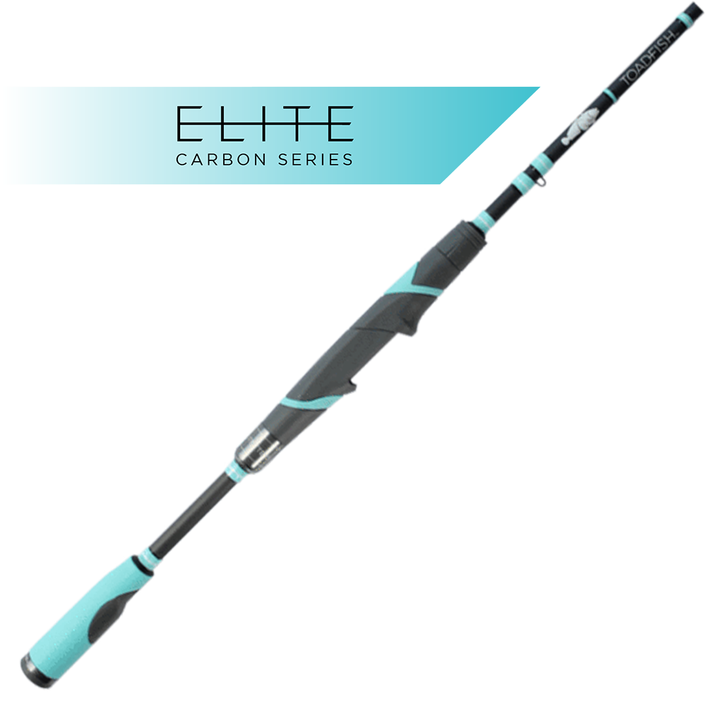 Collections – Toadfish