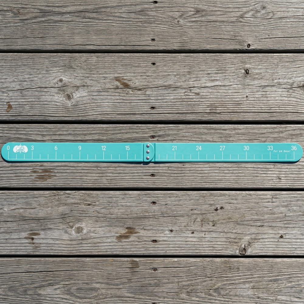 Toadfish Slapstick Fish Ruler – 36