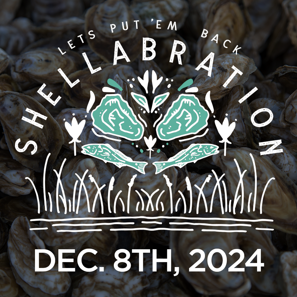 Shellabration 2024