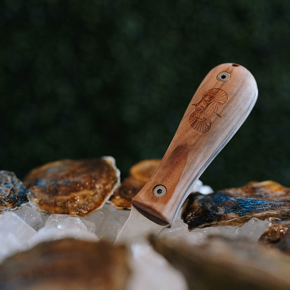 Olive Wood Oyster Knife - Toadfish - Oyster Knife